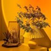 LED Sunset Projector Light Orange - Image 5